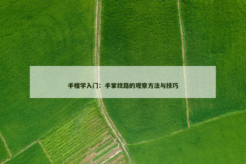 手相学入门：手掌纹路的观察方法与技巧