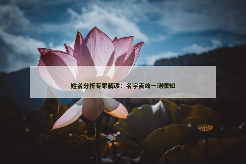 姓名分析专家解读：名字吉凶一测便知
