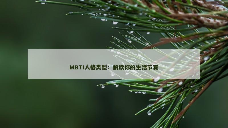 MBTI人格类型：解读你的生活节奏