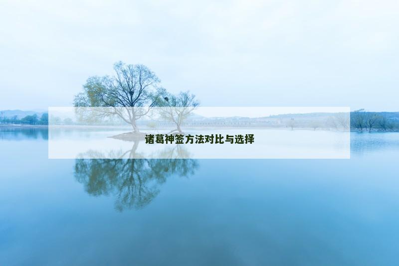 诸葛神签方法对比与选择