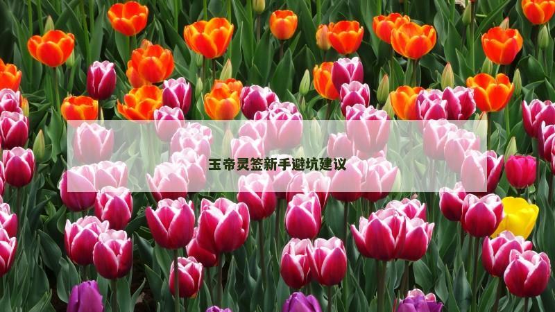 玉帝灵签新手避坑建议