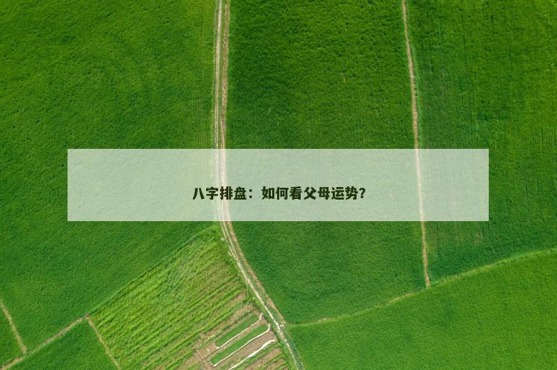 八字排盘：如何看父母运势？