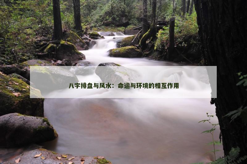 八字排盘与风水：命运与环境的相互作用