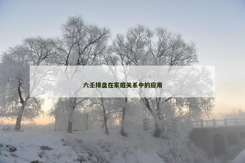 六壬排盘在家庭关系中的应用