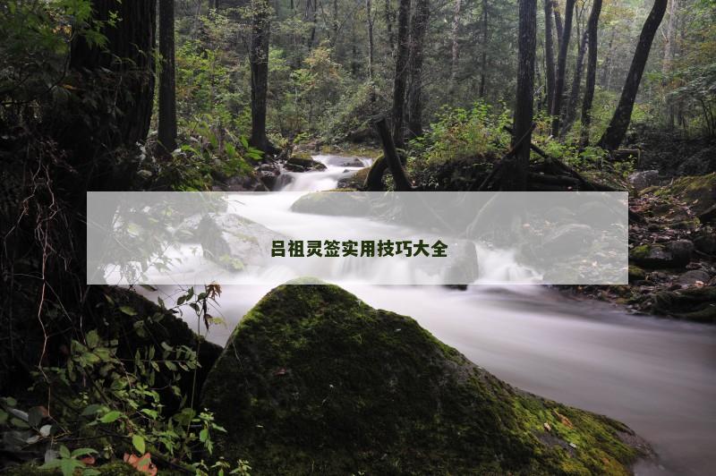 吕祖灵签实用技巧大全