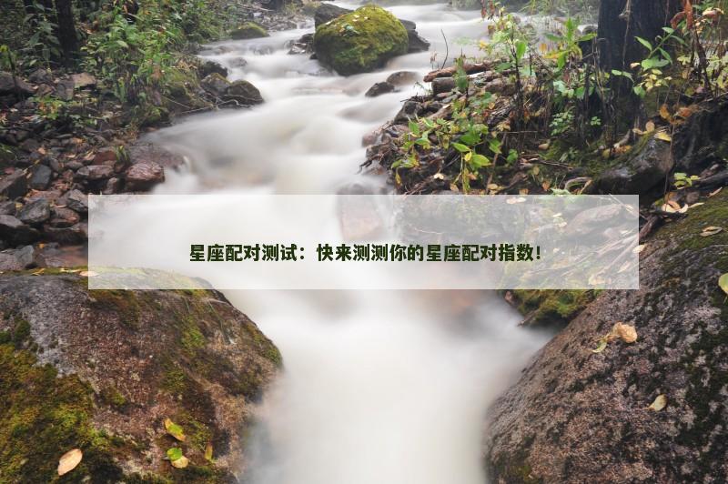 星座配对测试：快来测测你的星座配对指数！