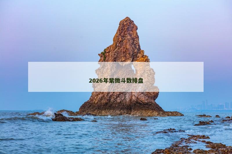 2026年紫微斗数排盘