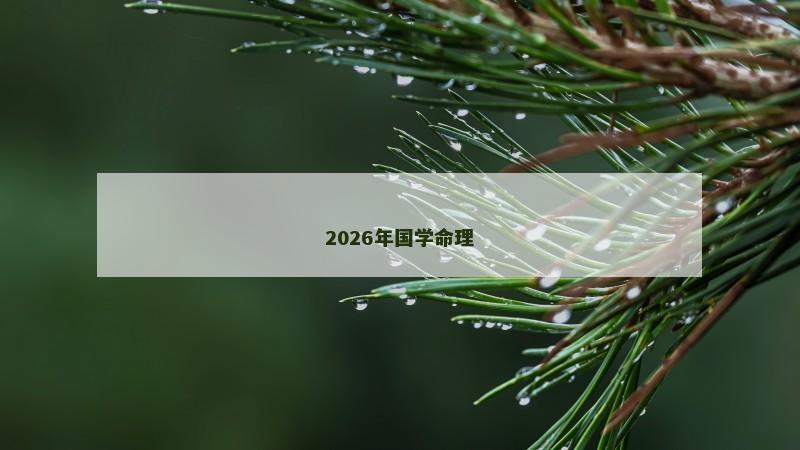 2026年国学命理