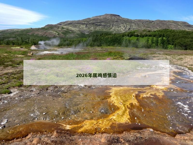 2026年属鸡感情运
