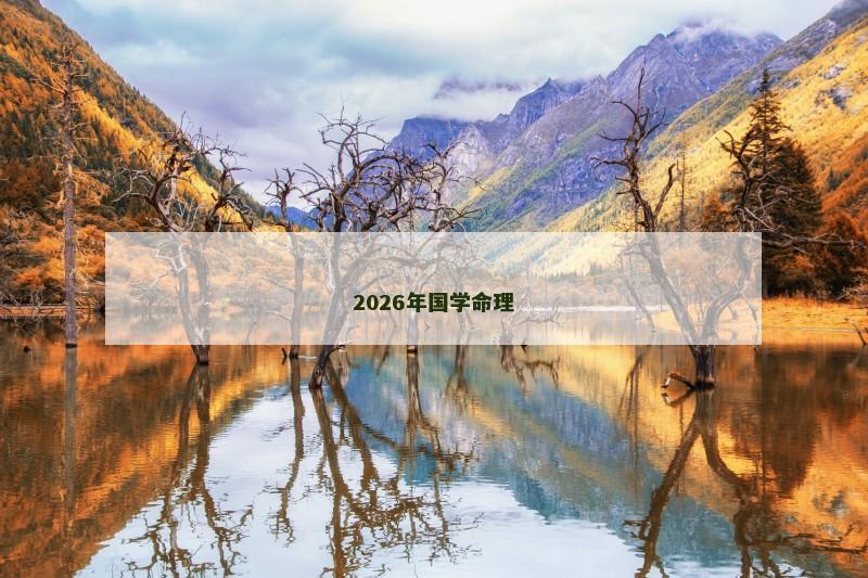 2026年国学命理