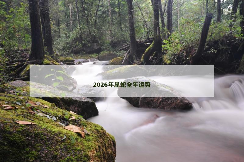 2026年属蛇全年运势