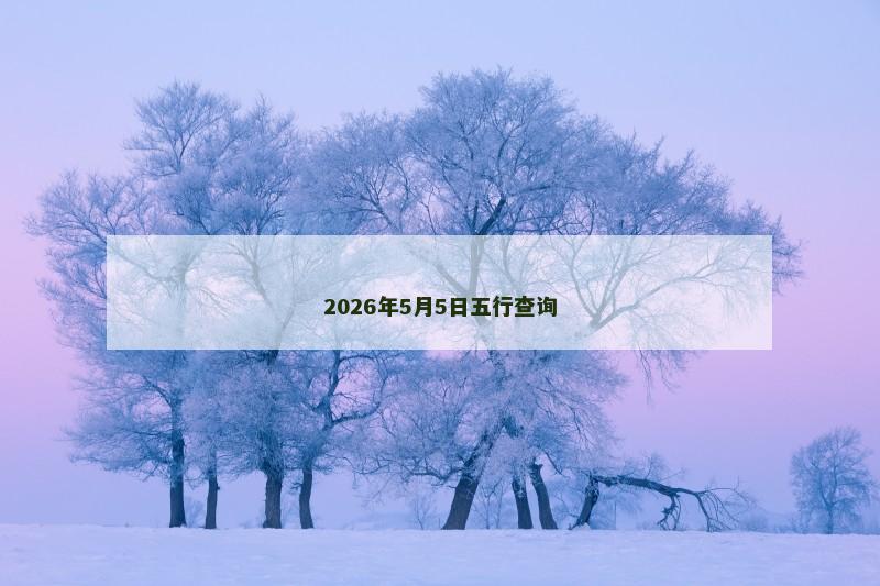 2026年5月5日五行查询