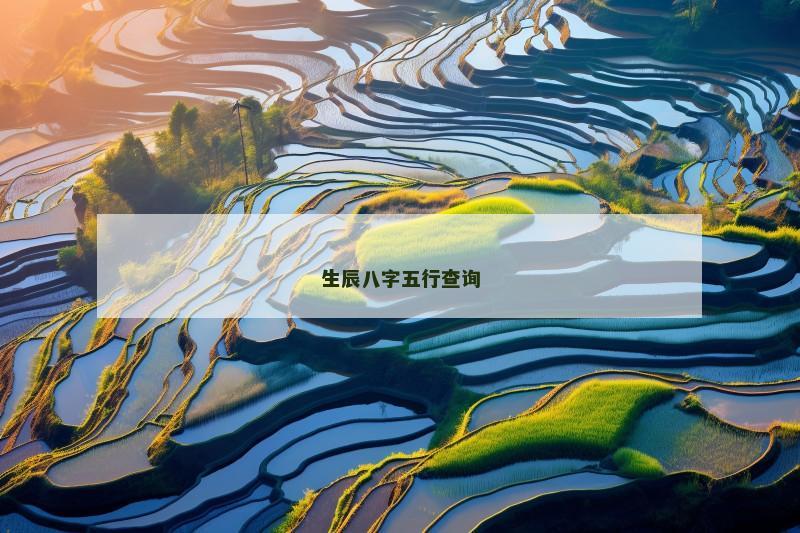 生辰八字五行查询