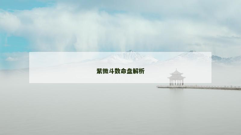 紫微斗数命盘解析