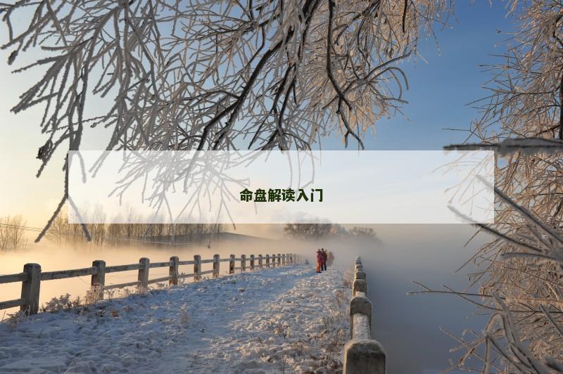 命盘解读入门