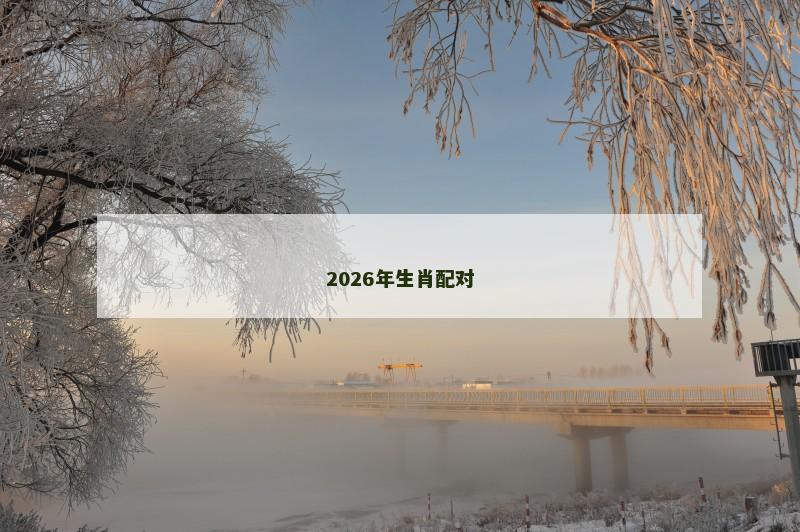 2026年生肖配对