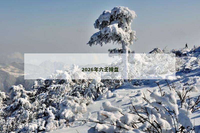 2026年六壬排盘