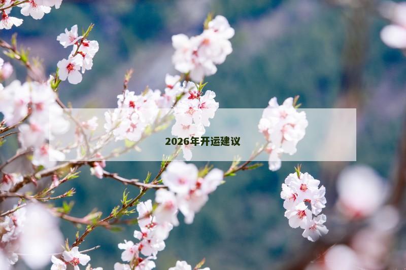 2026年开运建议