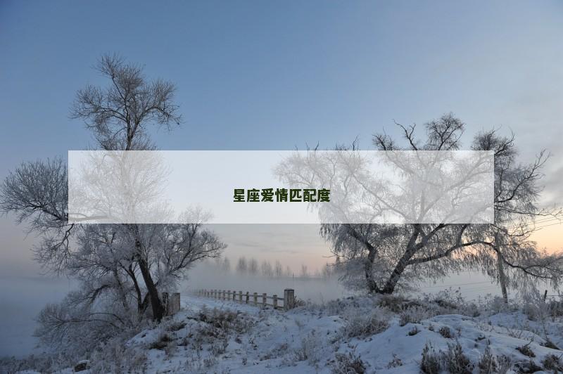 星座爱情匹配度