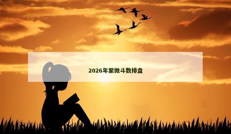 2026年紫微斗数排盘