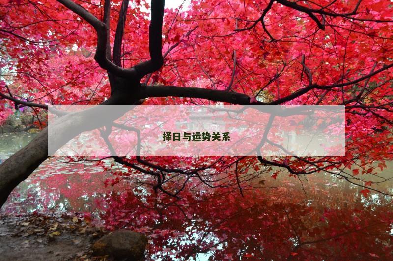 择日与运势关系