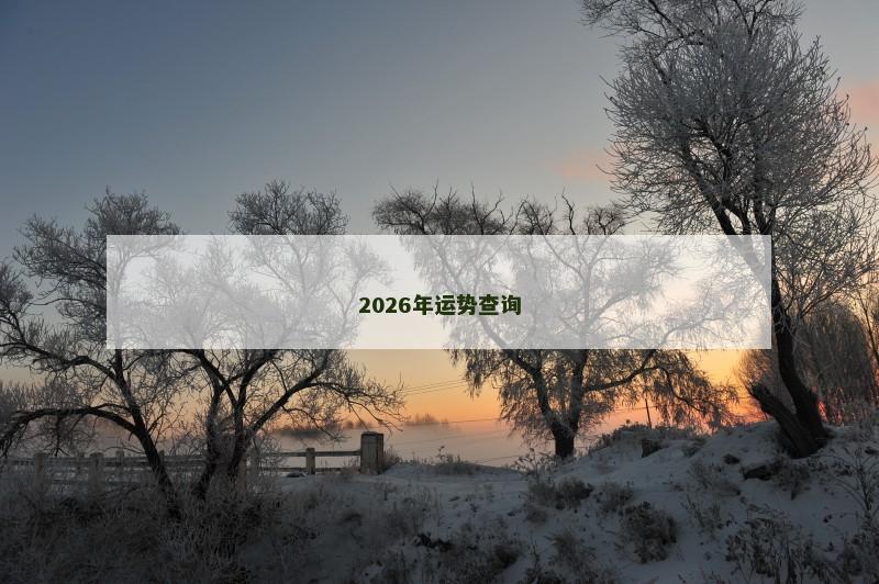 2026年运势查询
