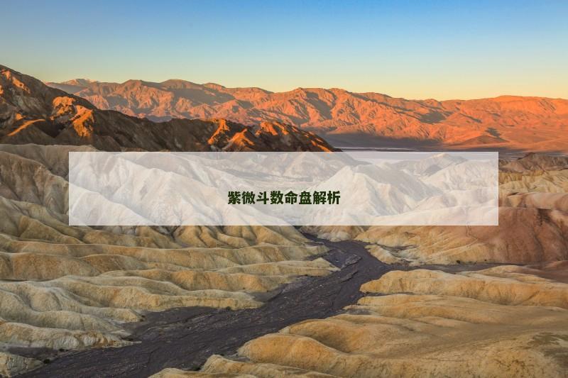 紫微斗数命盘解析