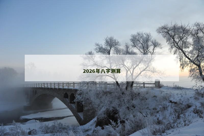 2026年八字测算