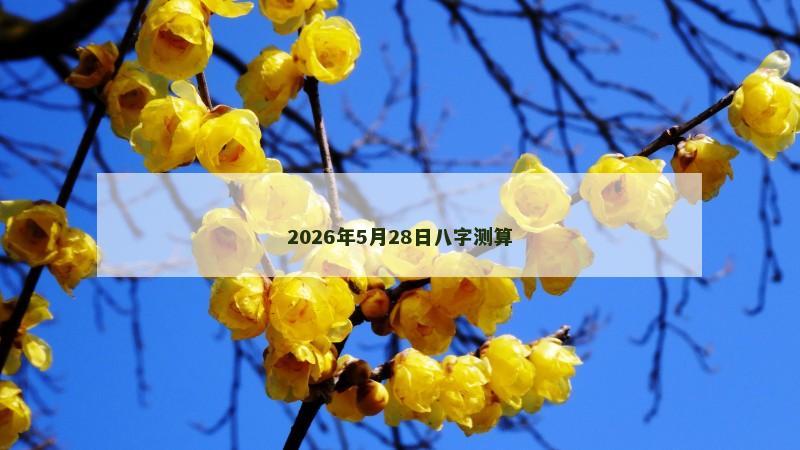 2026年5月28日八字测算