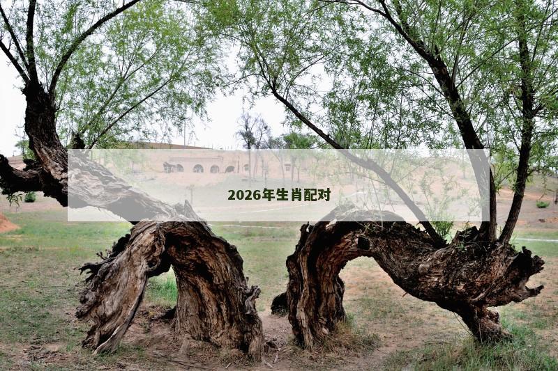 2026年生肖配对