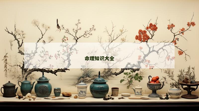命理知识大全