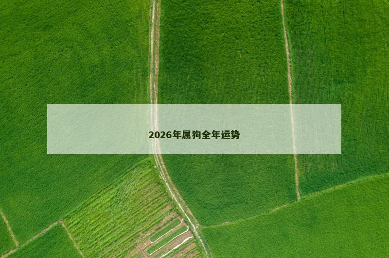 2026年属狗全年运势