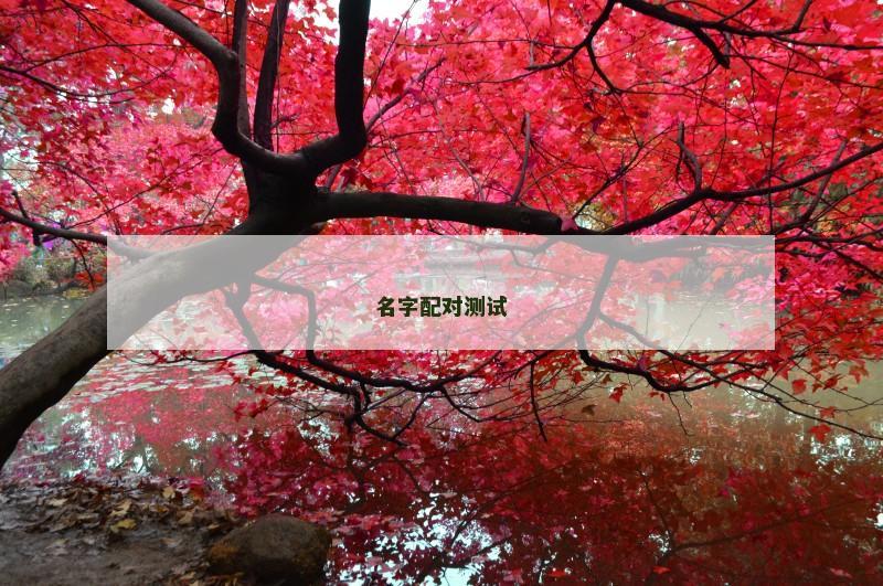 名字配对测试