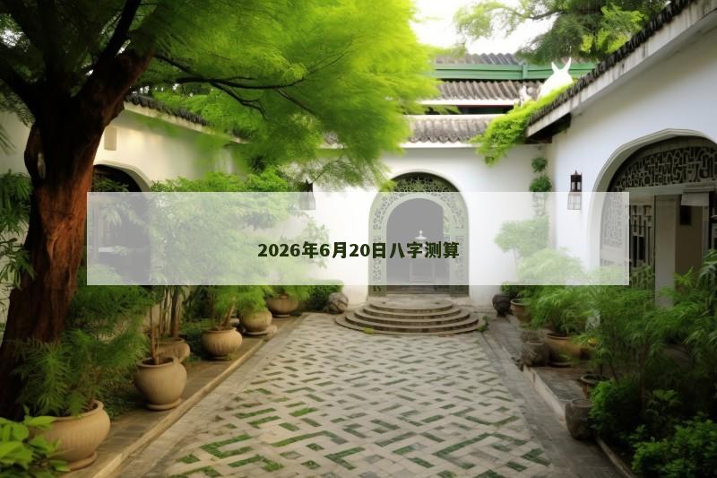 2026年6月20日八字测算