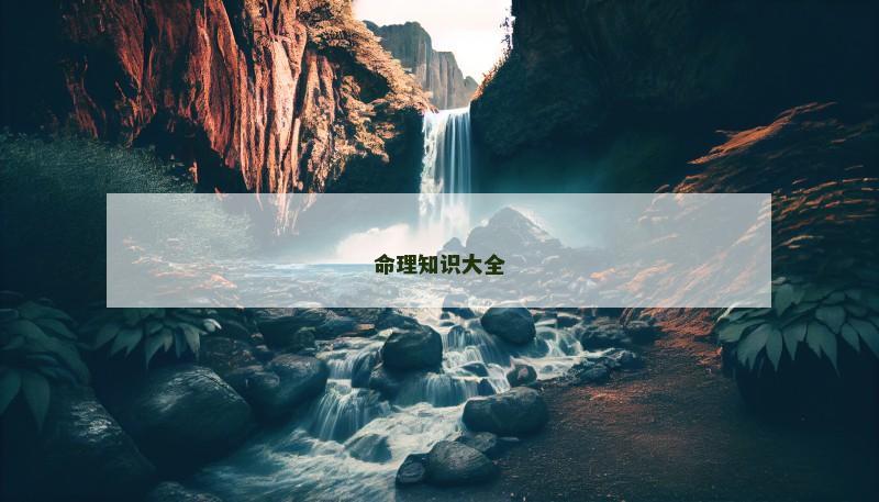 命理知识大全