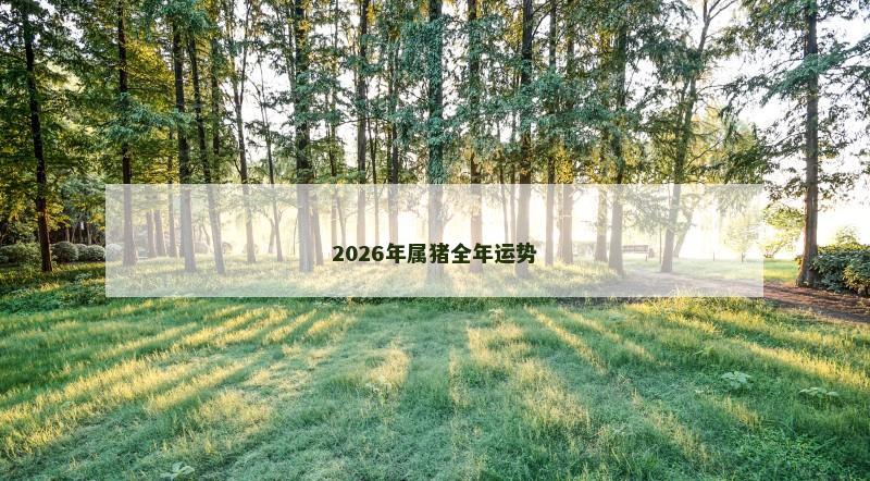 2026年属猪全年运势