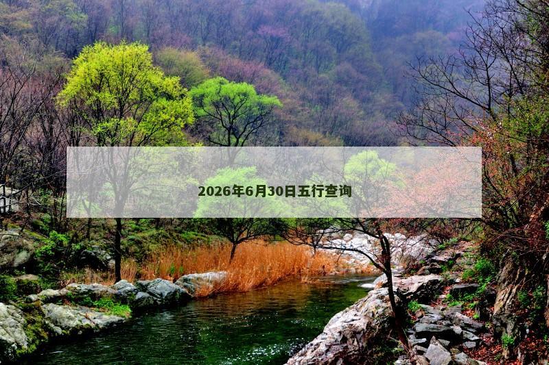 2026年6月30日五行查询