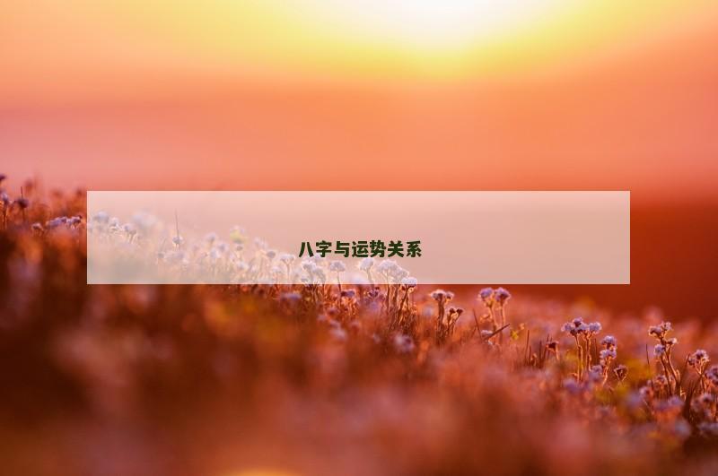 八字与运势关系