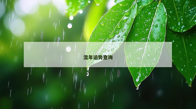 流年运势查询