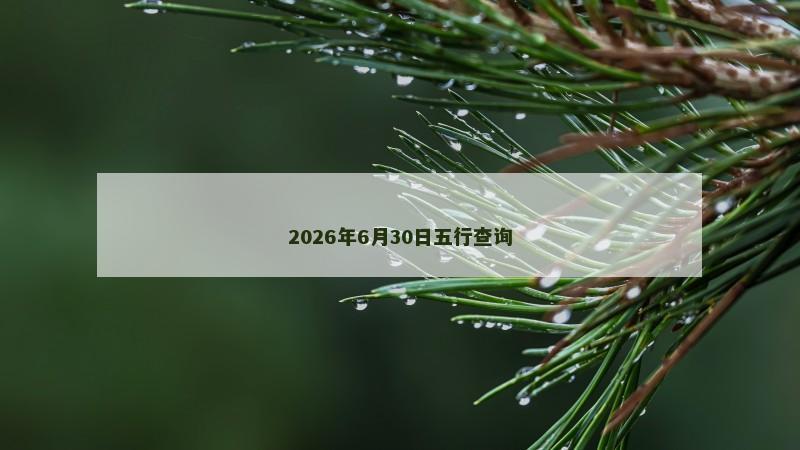 2026年6月30日五行查询