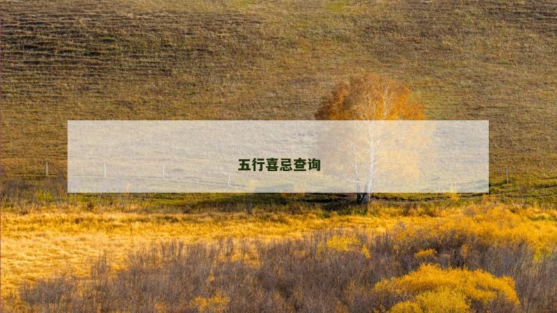五行喜忌查询