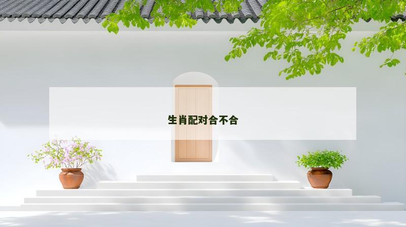 生肖配对合不合