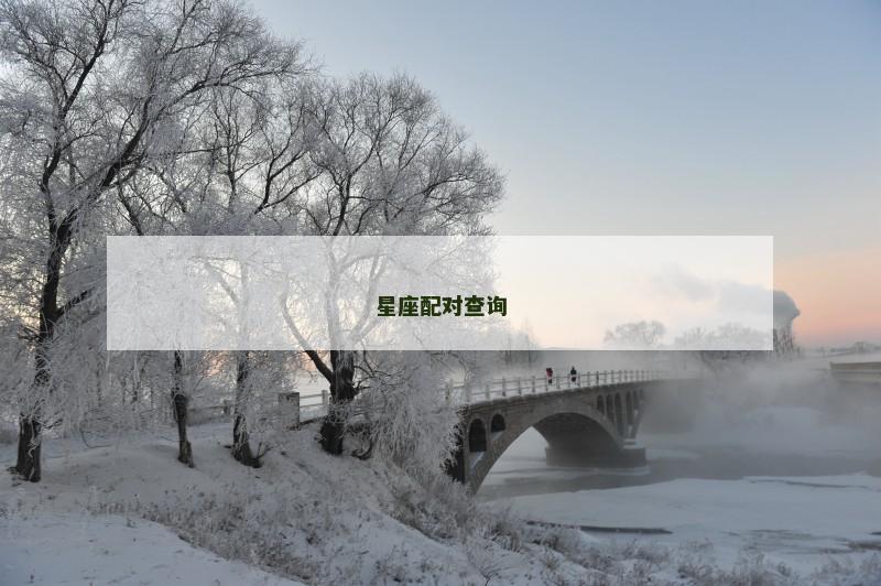 星座配对查询