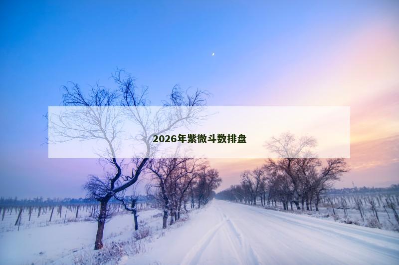 2026年紫微斗数排盘