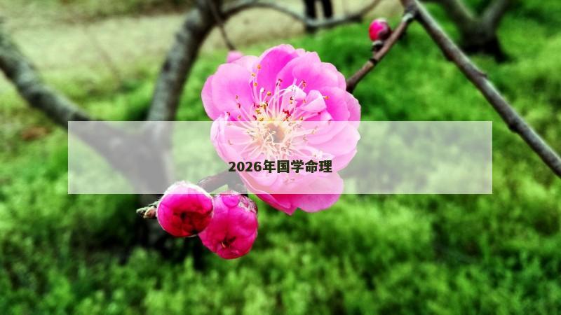 2026年国学命理